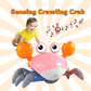 Sensing Crawling Crab for Baby Activity Toys & Baby activity Equipment